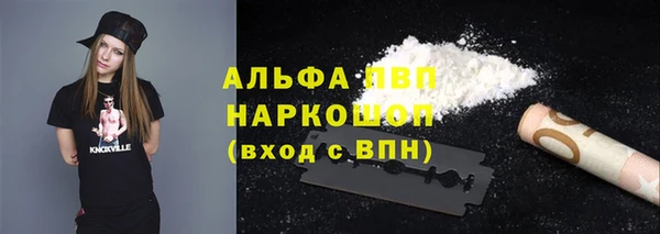 СК Балахна