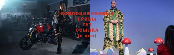 СК Балахна