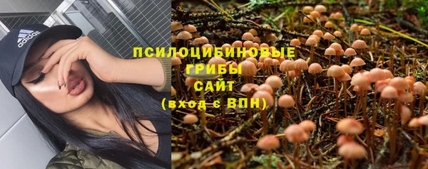 ГАЛЛЮЦИНОГЕННЫЕ ГРИБЫ Балабаново