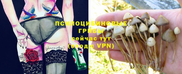 альфа пвп Баксан