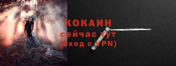 СК Балахна